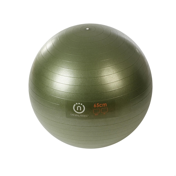 Lifeline Fitness Natural Fitness PRO Burst Resistant Exercise Ball FBREB65OL - main